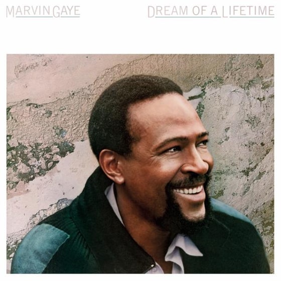 Dream Of A Lifetime -Clrd- image 0