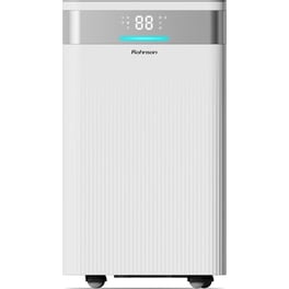 ROHNSON R-91912 True Ion & Fresh Air Αφυγραντήρας 12 lt με Ιονιστή
