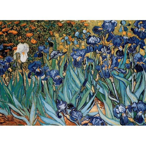 Παζλ Eurographics Vincent van Gogh: Irises (1000 Κομμάτια) image 2