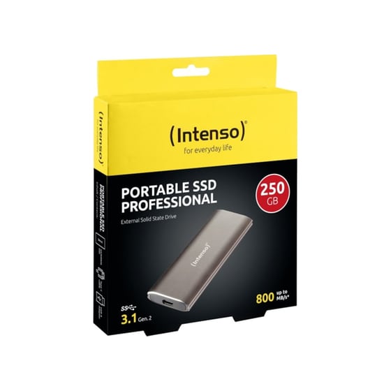 Intenso Pro USB Type-C SSD 500GB 1.8" - Γκρι image 3
