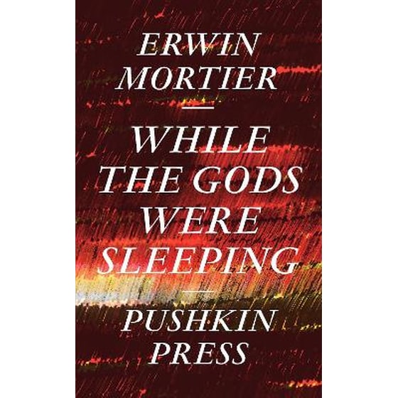 While the Gods Were Sleeping image 0