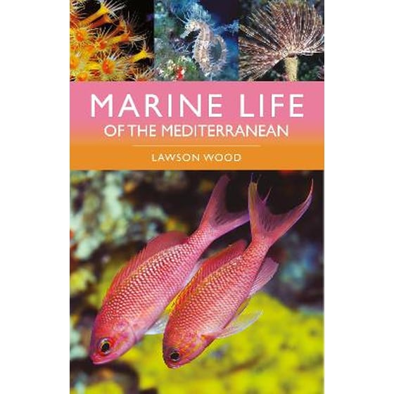 Marine Life of the Mediterranean image 0