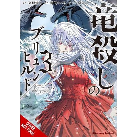 Brunhild the Dragonslayer, Vol. 3 (manga) image 0