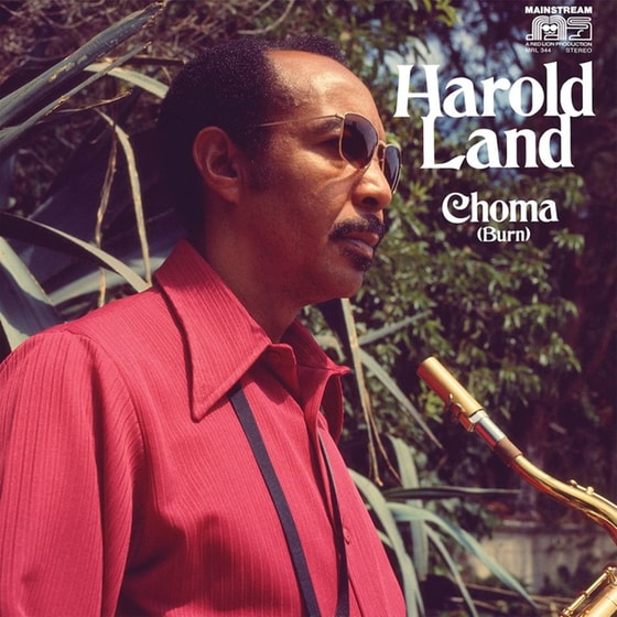 Choma (Burn) (LP) image 0
