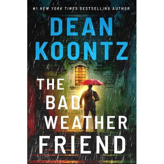 The Bad Weather Friend image 0