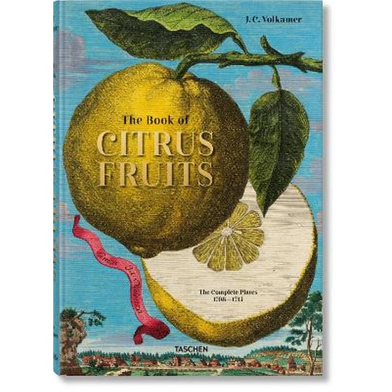 J. C. Volkamer. Citrus Fruits image 0