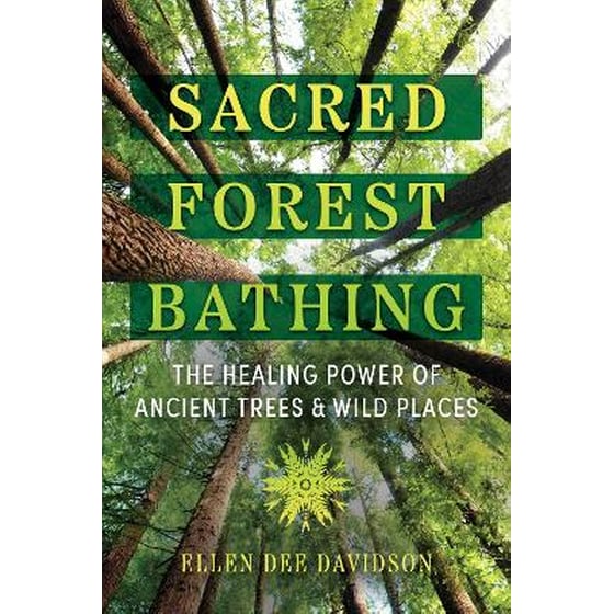Sacred Forest Bathing image 0