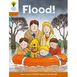 Oxford Reading Tree: Level 8: More Stories: Flood!