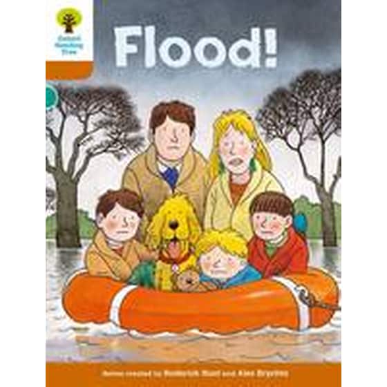 Oxford Reading Tree: Level 8: More Stories: Flood! image 0