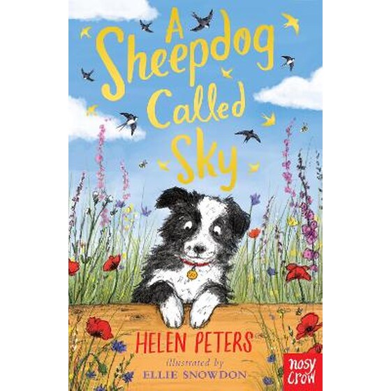 Sheepdog Called Sky image 0