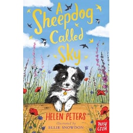 Sheepdog Called Sky