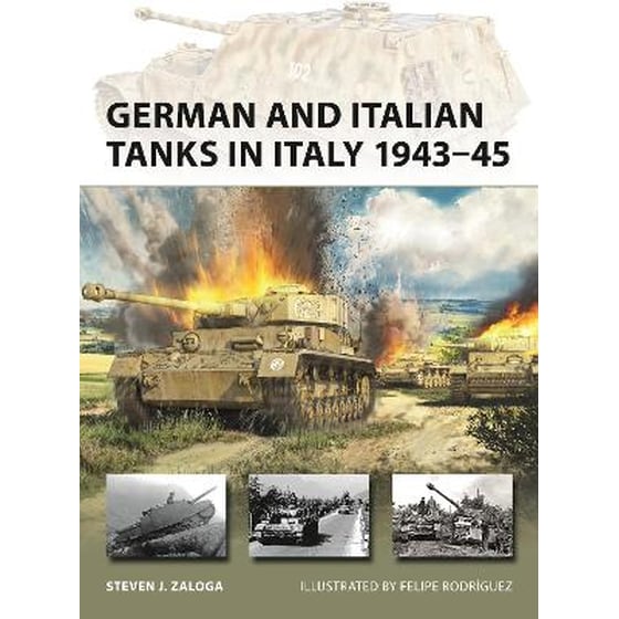 German and Italian Tanks in Italy 1943–45 image 0