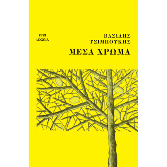 Μέσα Χρώμα image 0