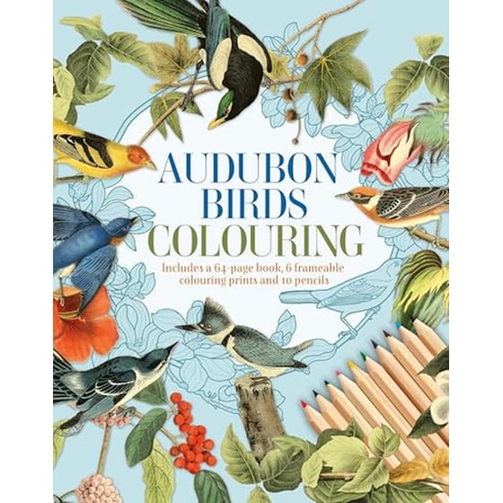 Audubon Birds Colouring Kit image 0