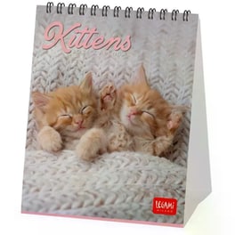 Ημερολόγιο Γραφείου Legami 2026 Kittens