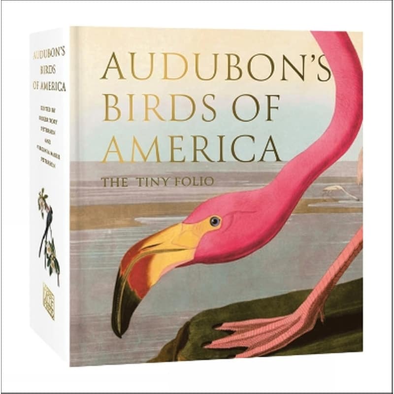 Audubons Birds of America