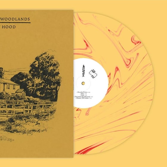 Back To The Woodlands (Noonday Yellows Vinyl) image 0
