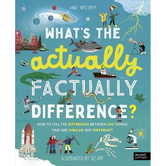 What's the Actually Factually Difference? image 0