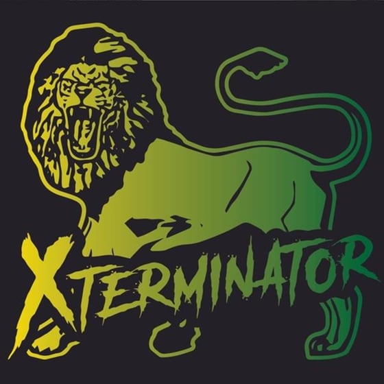 Xstory image 0