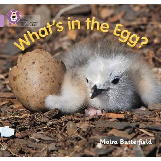 What's in the Egg? What's in the Egg?- Band 00/Lilac image 0