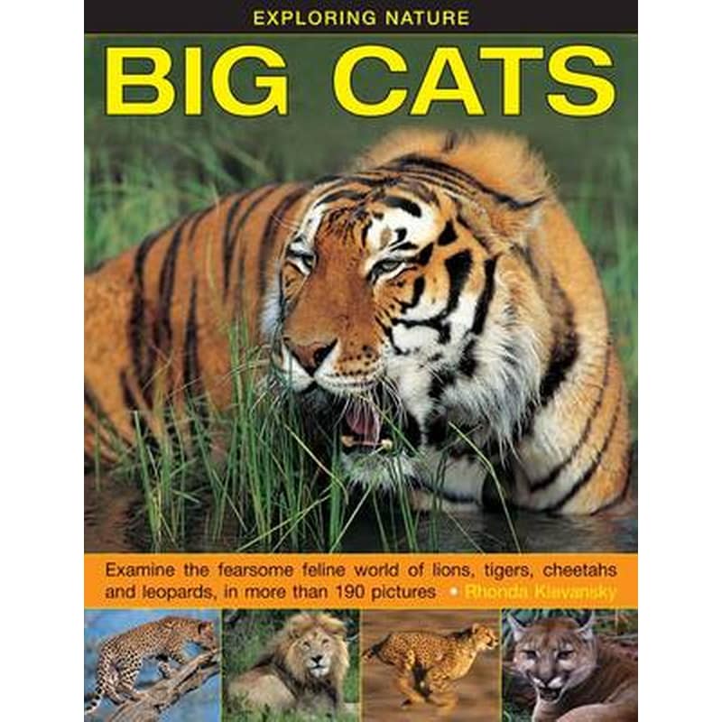 Exploring Nature- Big Cats
