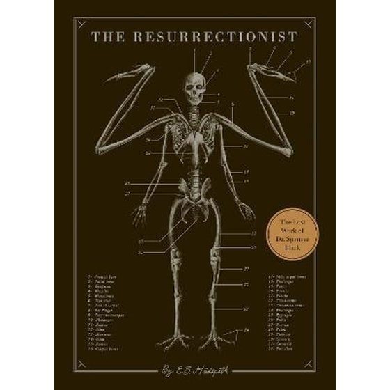 The Resurrectionist image 0