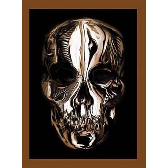 Alexander McQueen image 0