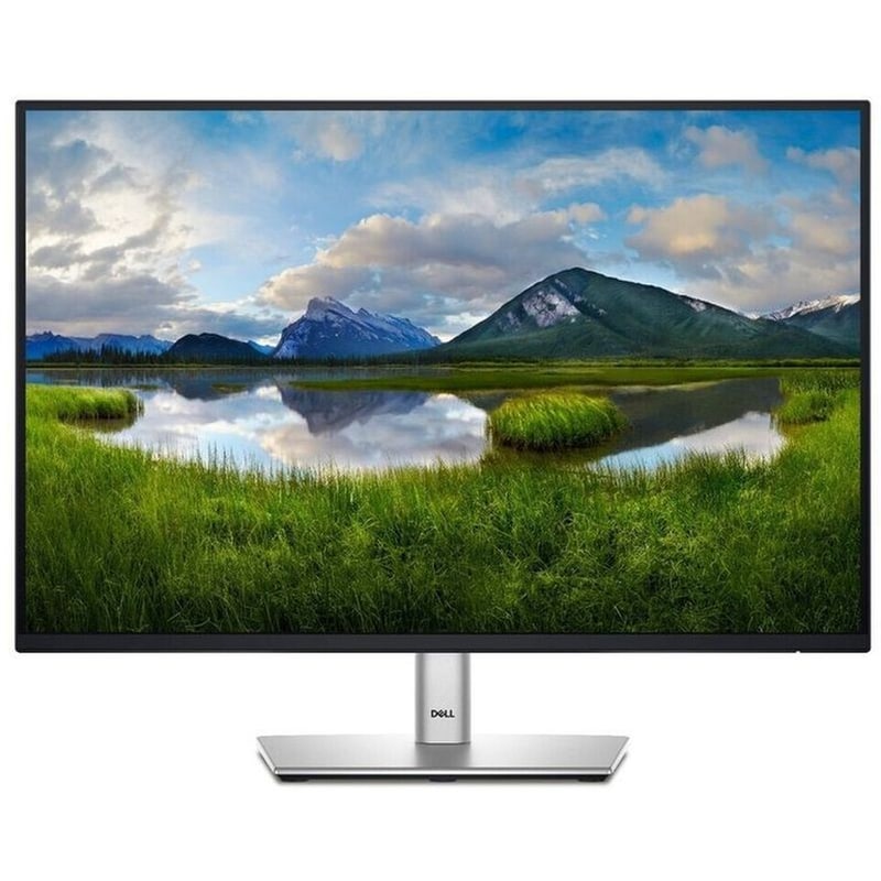 DELL Dell P-Series P2425 24.1 WUXGA IPS Flat 100Hz 8ms