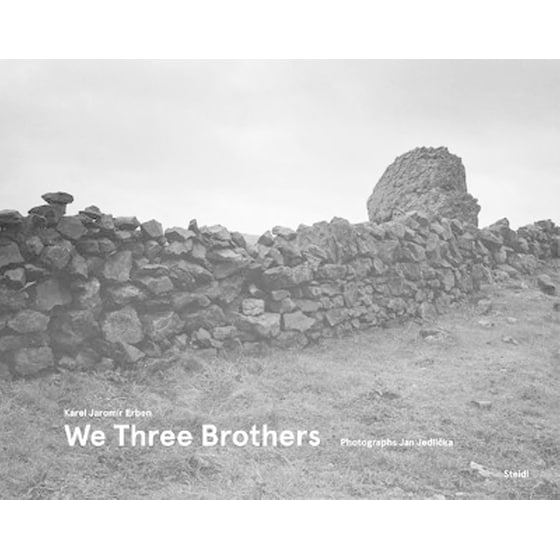 Karel Jaromir Erben and Jan Jedlicka: We Three Brothers image 0