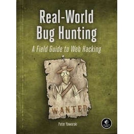 Real-world Bug Hunting