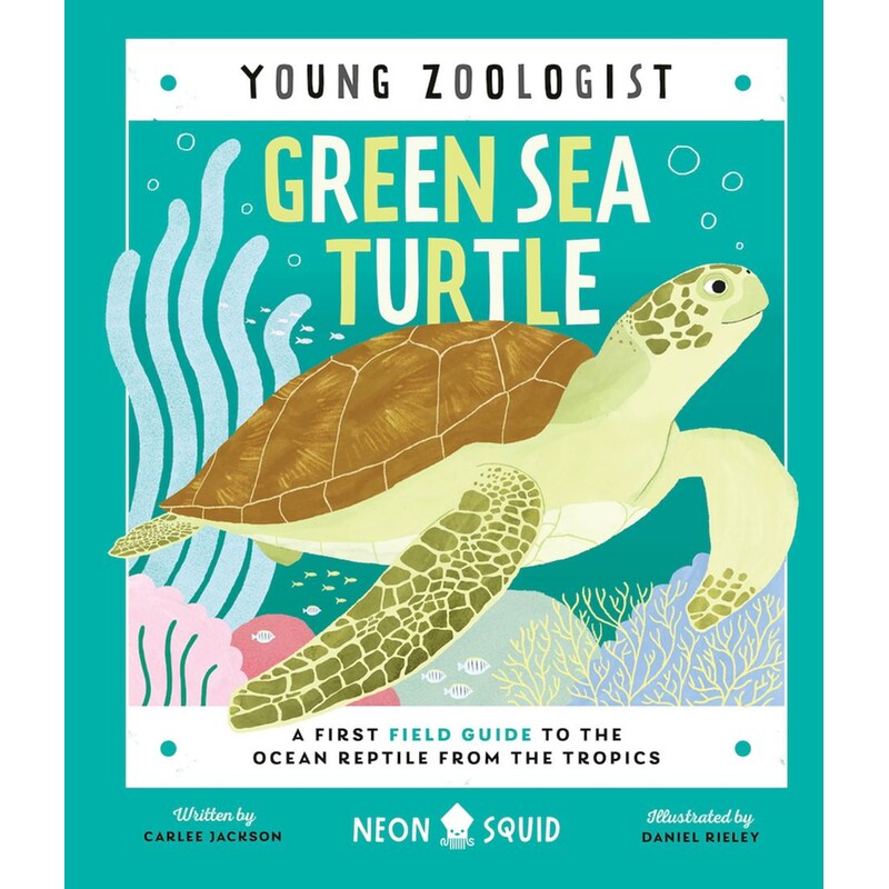 Green Sea Turtle (Young Zoologist)
