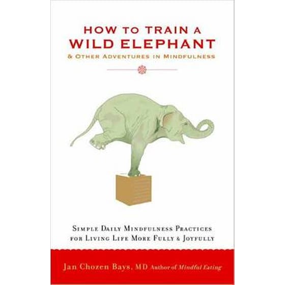 How to Train A Wild Elephant image 0