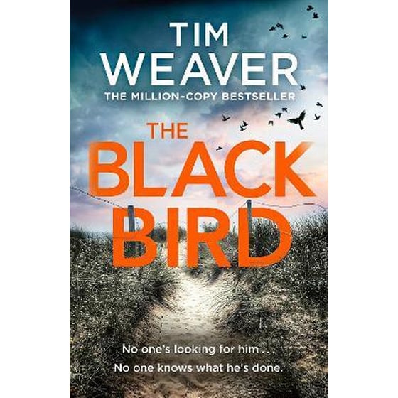 Blackbird image 0