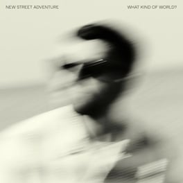 What Kind Of World? (CD)