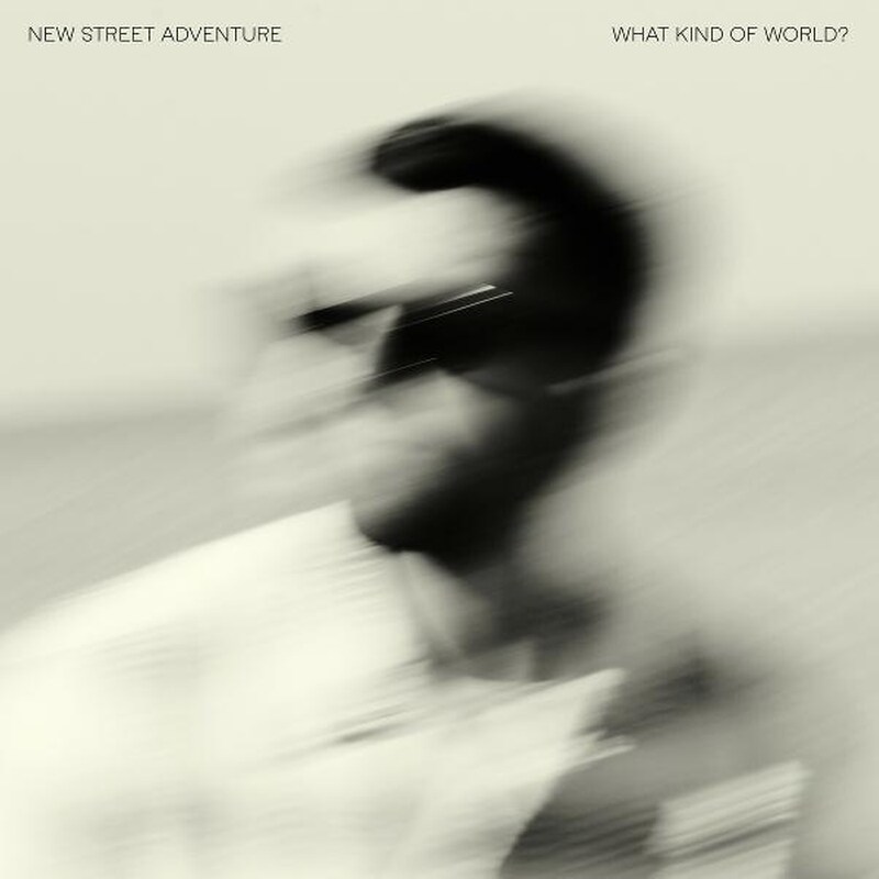 What Kind Of World? (CD)