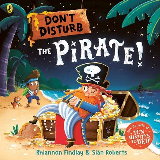 Don’t Disturb The Pirate image 0