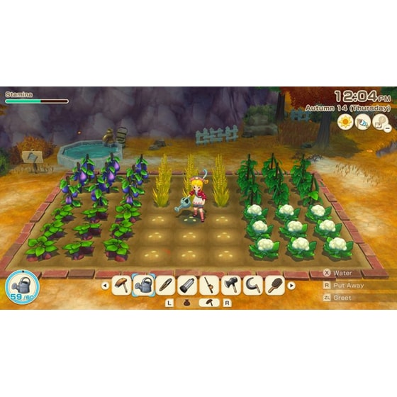 Story of Seasons: Grand Bazaar - Nintendo Switch image 6