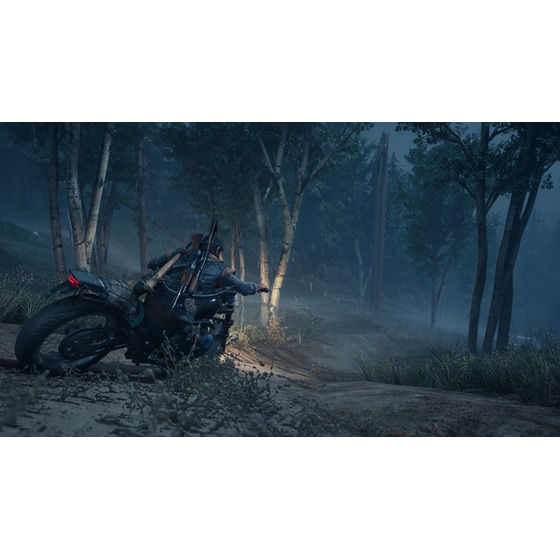 Days Gone - PS4 image 9