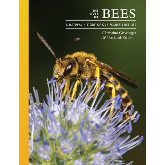 The Lives of Bees image 0