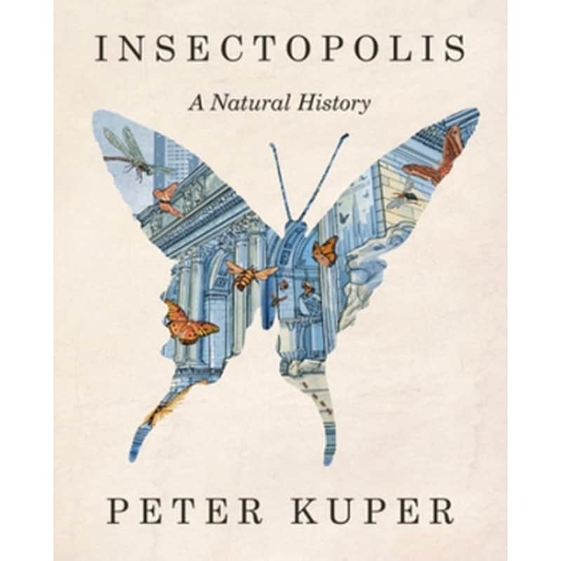 Insectopolis