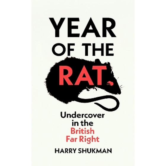 Year of the Rat image 0