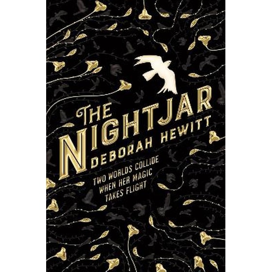 The Nightjar image 0