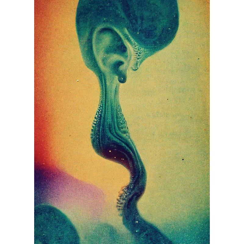 Rorschach Audio: Τέχνη και ψυχοακουστική ψευδαίσθηση