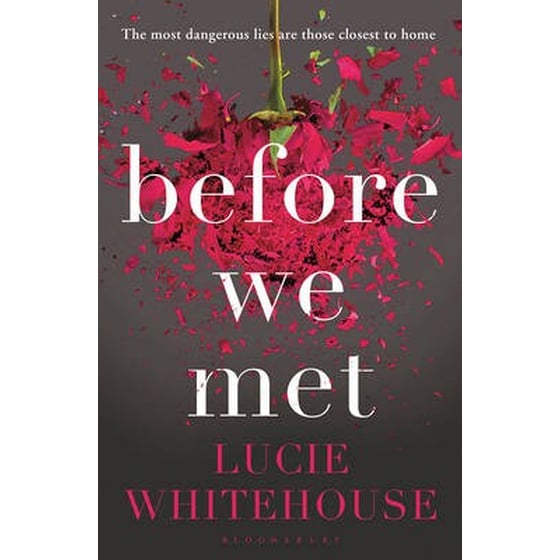 Before We Met image 0