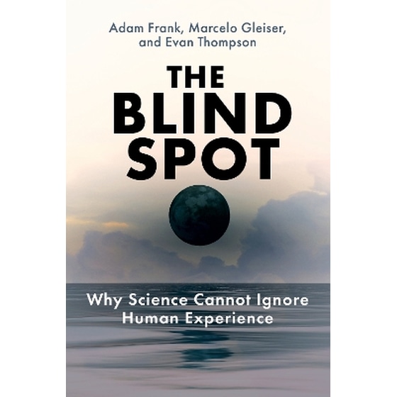 The Blind Spot image 0