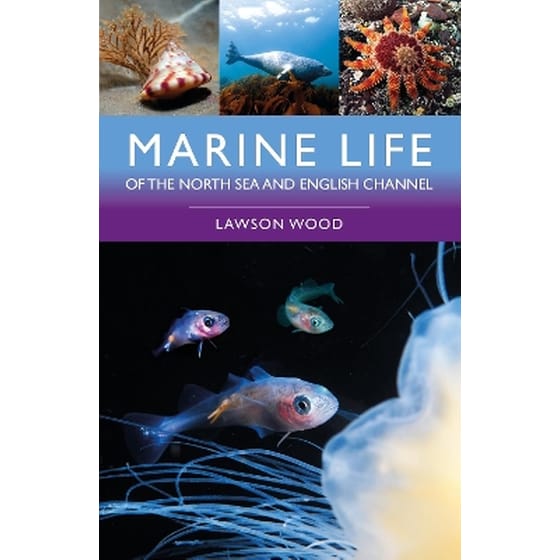 Marine Life of the North Sea and English Channel image 0