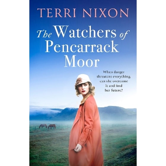 The Watchers of Pencarrack Moor image 0