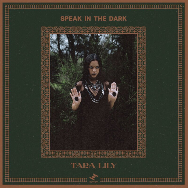 Speak In The Dark (LP)