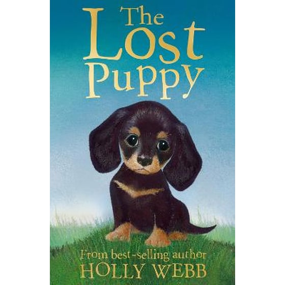 The Lost Puppy image 0