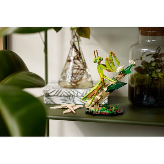LEGO®Ideas The Insect Collection (21342) image 6